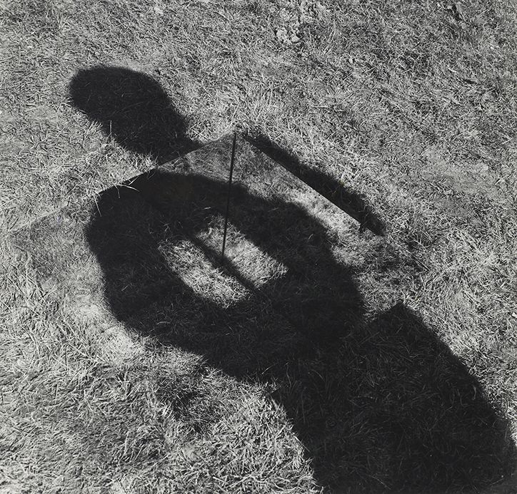 Mirror-Lined Pit (grass bottom) 1968 (first executed June 1969), an invisible hole revealed by my own shadow