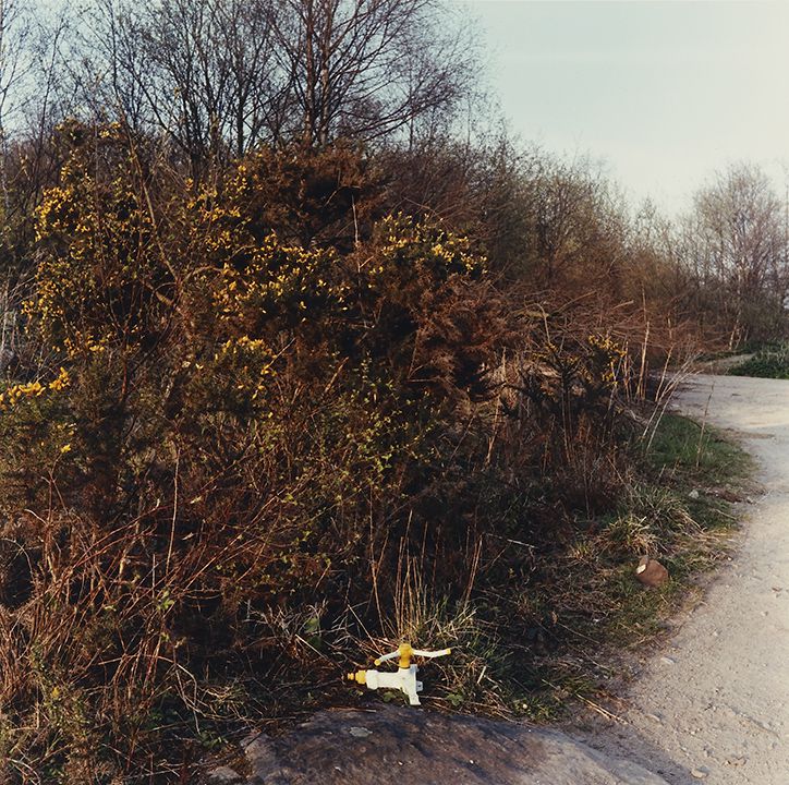 Miss Grace’s Lane, 1986-87